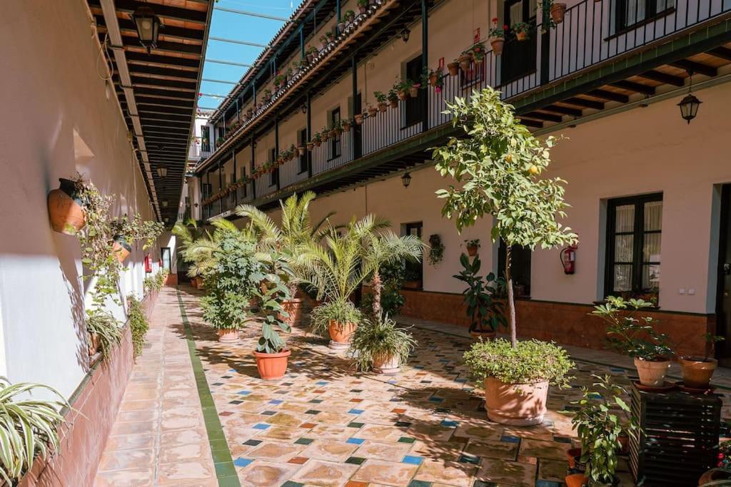 Con Encanto En Patio Sevillano *